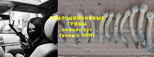 скорость Балахна