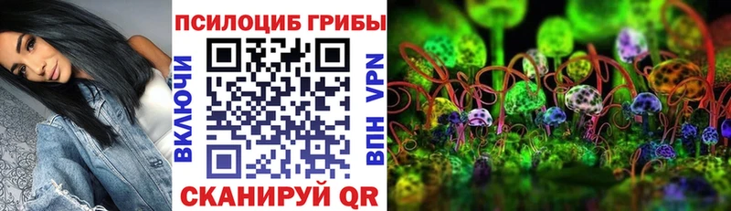 где продают   Цивильск  Псилоцибиновые грибы GOLDEN TEACHER 